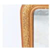 Napoleon III period Gilded Stucco mirror, “Fleuri” - Image 2
